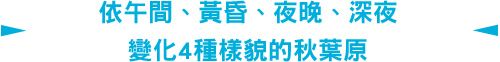 依午間、黃昏、夜晚、深夜變化4種樣貌的秋葉原