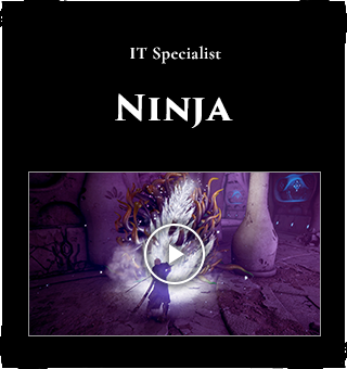 Ninja