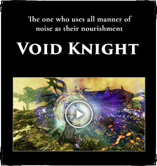 Void Knight