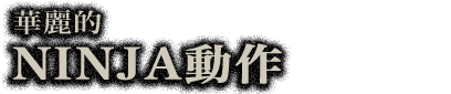 華麗なるニンジャアクション