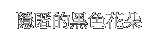 ヒドゥンブラックフラワー