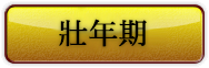 壯年期