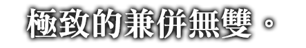 究極の、国取り無双。