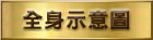 全身画像